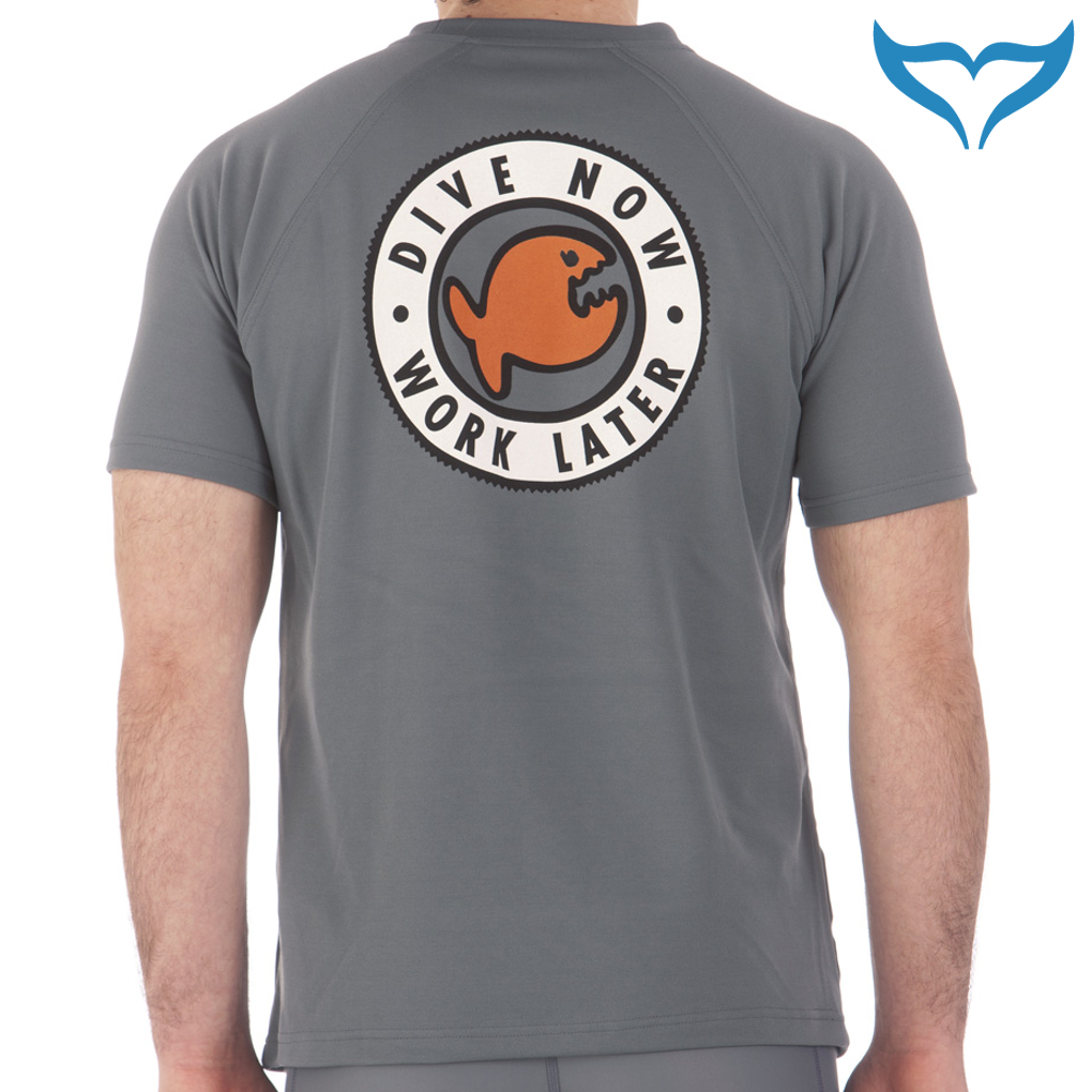 iQ UV T-Shirt Dive Now Work Later ash grau Schutz 50+ Klassiker Neu