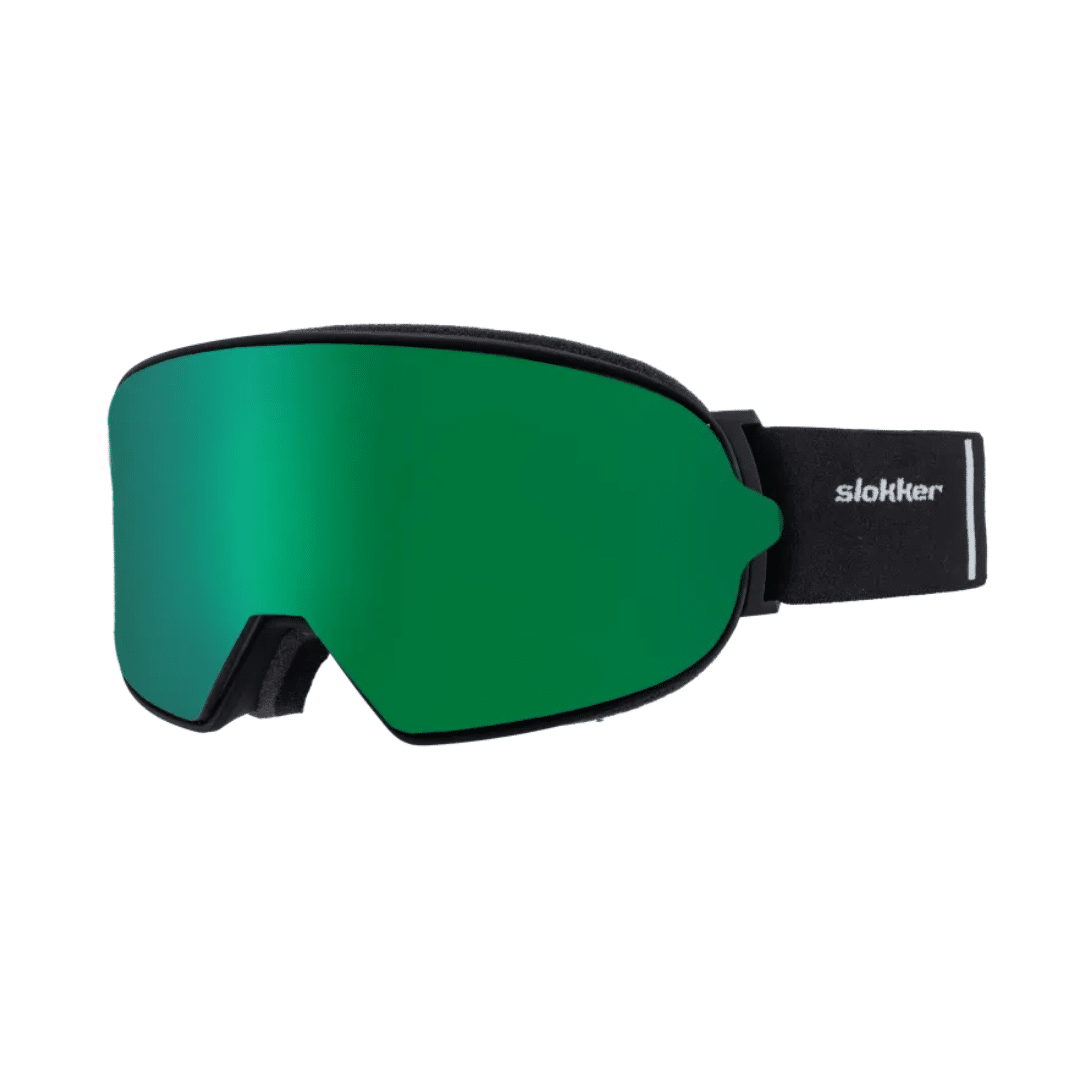 Goggle SP1 Polar 4 Adaptiv