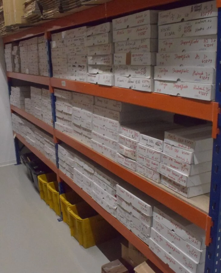 Mercury Olympus Bockdoppelflinte, Vorderschaft, Neuware – Bild 7