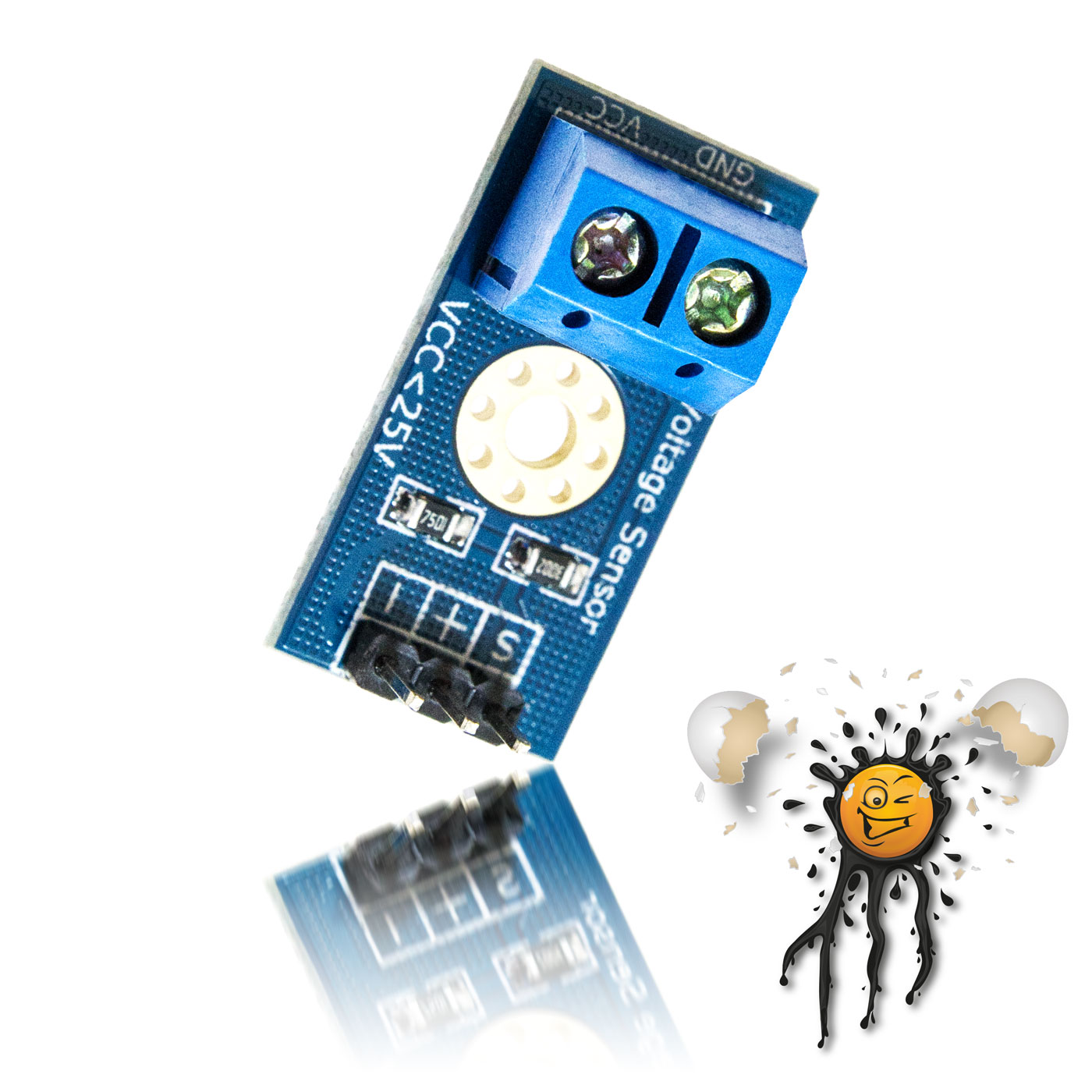 Spannung Volt Voltage Sensor 0-25 Volt