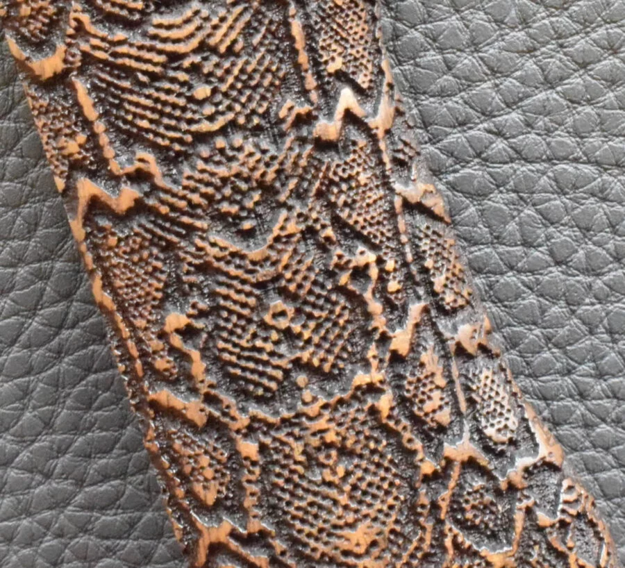 Jericho 941 F-FS Holzgriff, Ausführung 5 Schlangenhaut schwarz/braun, Nußbaum – Bild 4